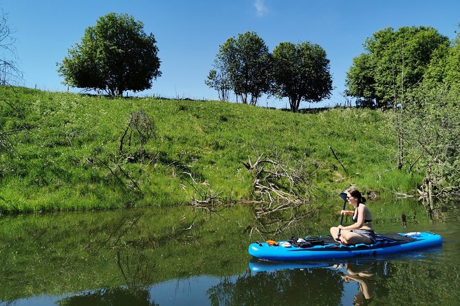 Beaver Safari on Stand up paddleboard in Hokksund - A private outing with a small footprint
