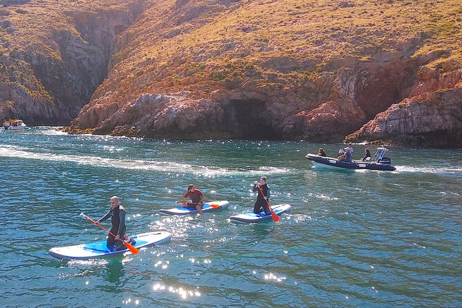 Berlengas Island Catamaran Tour + SUP - When the boat or activity changes