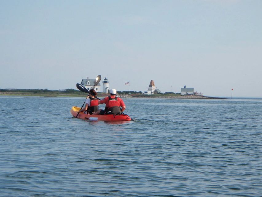Biddeford Pool: Half Day Kayak or SUP Rental - Starting at Vines Landing on Biddeford Pool