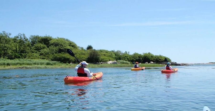 Biddeford Pool: Half Day Kayak or SUP Rental - Three hours through tidal water