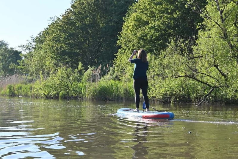 Biesbosch: SUP Board Rental - Key points to know before you paddle
