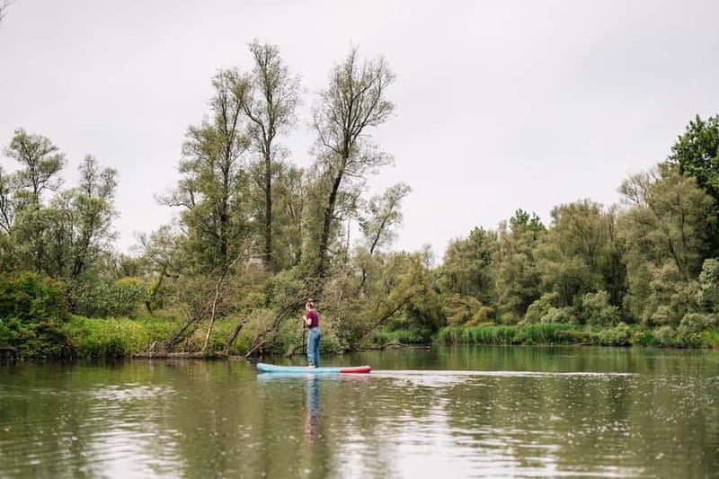 Biesbosch: SUP Board Rental - Choosing a route with the tide in mind