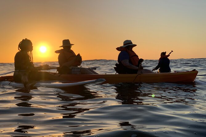 Bioluminescence by kayak or SUP to Los Arcos Puerto Vallarta - Choosing between a kayak, SUP, and family board
