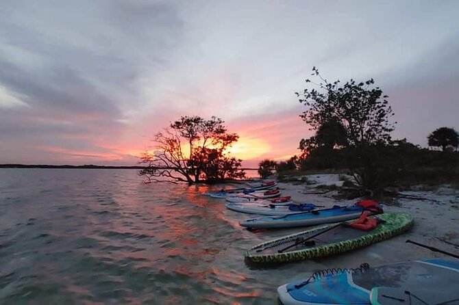 Bioluminescence Clear Kayak or Paddleboard Tour Near Orlando - When the water starts to glow
