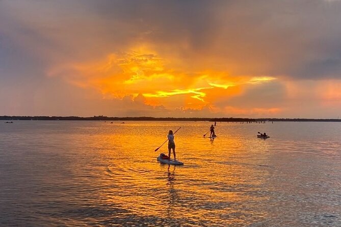 Bioluminescence Clear Kayak or Paddleboard Tour Near Orlando - Who should book this Cocoa Beach area tour