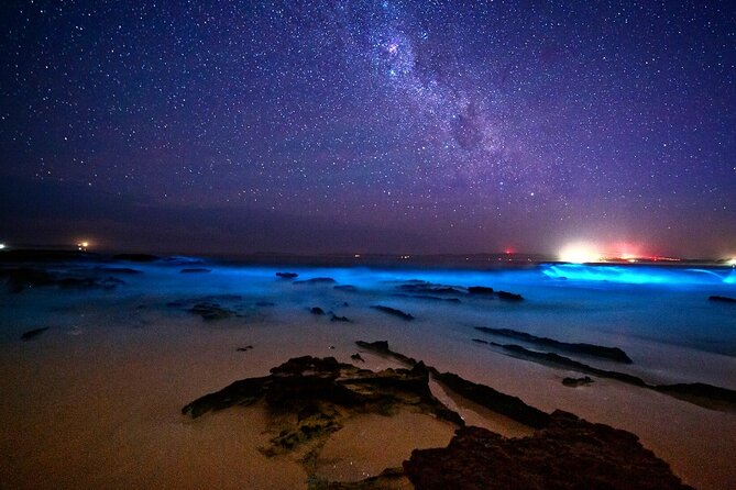 Bioluminescence Clear Kayak or Paddleboard Tour Near Orlando - Horseshoe Crab Island and the sandbar stop