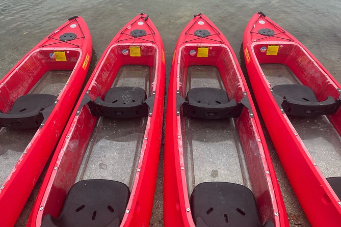 Bioluminescent Clear Bottom Kayak or Paddleboard Sit-On-Top Kayak Hybrid Tour! - Clear-bottom kayaks, paddleboards, and seating concerns