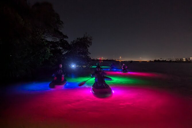 Bioluminescent Comb Jelly & LED Kayak / Paddle board Excursion - Meeting at Kiwanis Island Park near Cocoa Beach