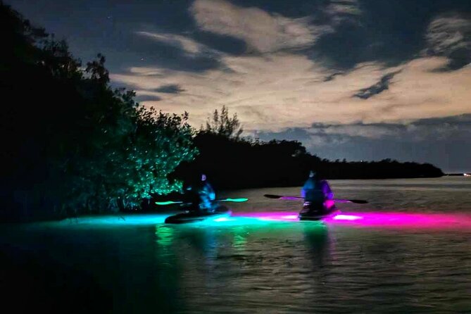 Bioluminescent Comb Jelly & LED Kayak / Paddle board Excursion - Watching the Indian River Lagoon light up