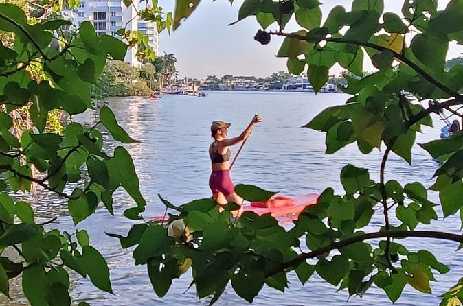 Bonnet House 2 Hour Rental (Paddleboard or Kayak) - Should you book the Bonnet House paddle?
