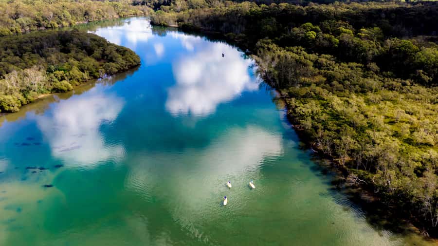 Byron Bay: Group 2.5 Hour Stand-Up Paddle Board Tour - Paddling the Brunswick River for 150 minutes