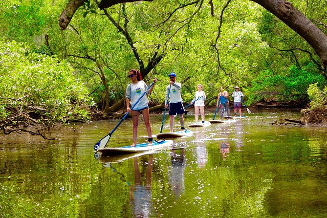 Byron Stand Up Paddle Nature Tour - Key points to know before booking