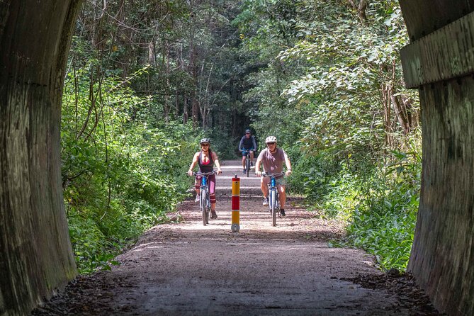 Byron Stand Up Paddle Nature Tour - What the river route offers