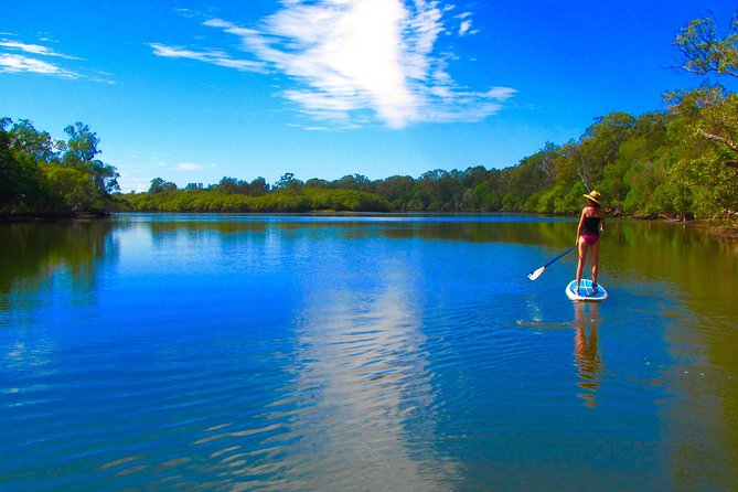 Byron Stand Up Paddle Nature Tour - Instruction, safety, and comfort on the water
