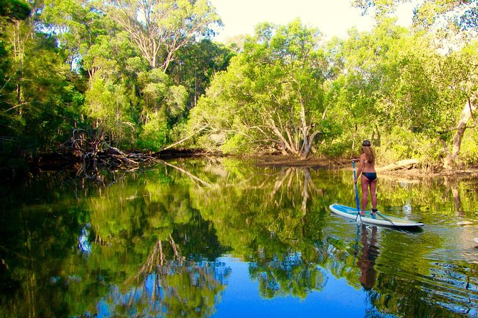 Byron Stand Up Paddle Nature Tour - Who will enjoy this paddle most