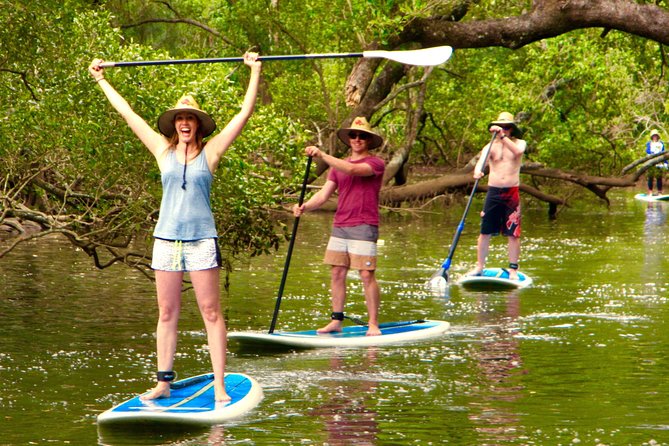 Byron Stand Up Paddle Nature Tour - The two-hour plan, from land lesson to river