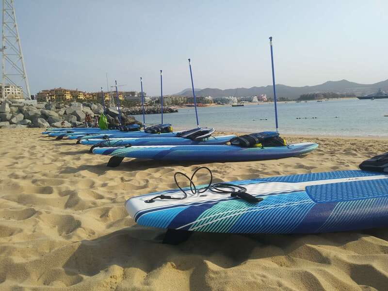 Cabo san Lucas: Paddle Boarding or Kayak and Snorkeling - Who should book this Cabo water tour