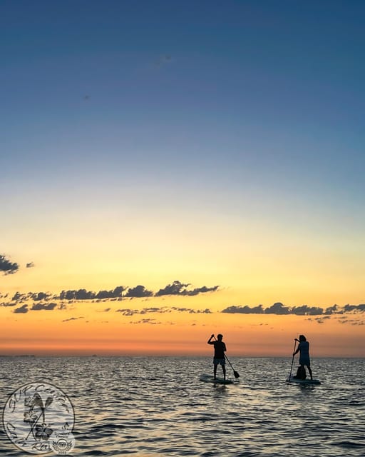 Cala Ratjada: Stand Up Paddle Sunrise Tour - Key points at a glance