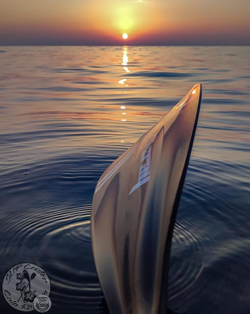 Cala Ratjada: Stand Up Paddle Sunrise Tour - Why sunrise works so well in Cala Ratjada