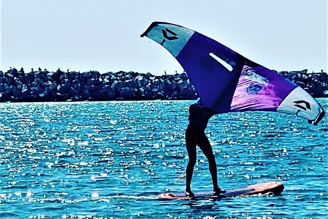 Calling all Standup Paddle boarders, learn to Sail on a SUP Board - Is $125 a fair price?