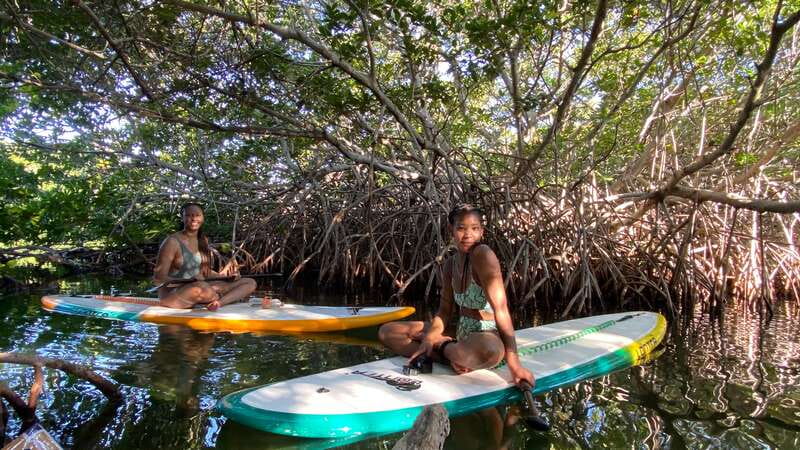 Cancun: Sunrise/Sunset Stand-Up Paddleboarding Tour - Why this Cancun paddle works so well at sunrise or sunset