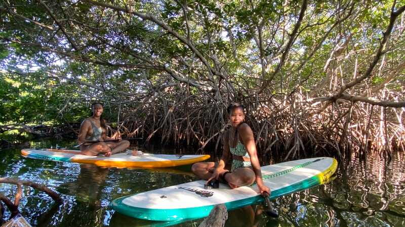Cancun: Sunrise/Sunset Stand-Up Paddleboarding Tour - One hour across the lagoon or bay