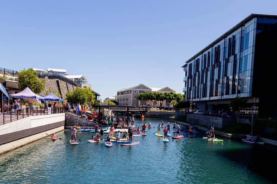 Cape Town: Stand-Up Paddle Board Rental with Basic Training - Key points to know before you paddle