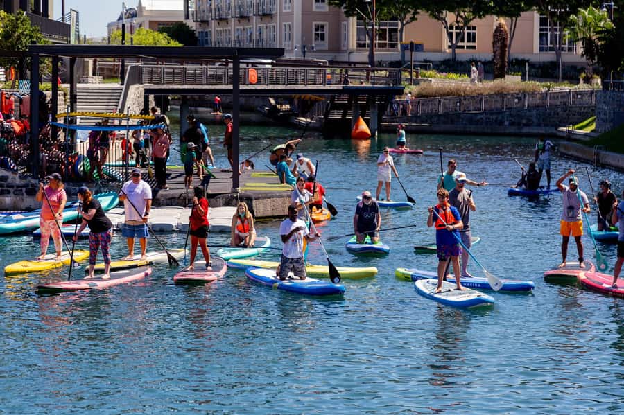 Cape Town: Stand-Up Paddle Board Rental with Basic Training - Paddling the Cape Town canals