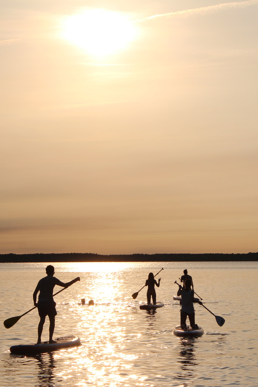 Carry-le-Rouet: Sunset tour on stand up paddle-boards - What the $34 price covers
