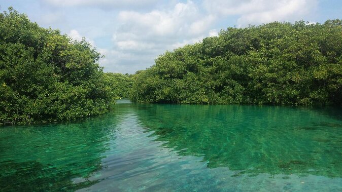 Cenote Paddleboarding and Snorkeling in Tulum - Key points to know before booking