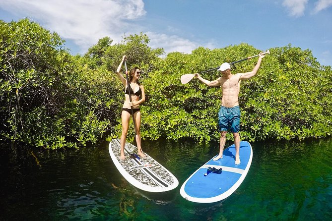 Cenote Paddleboarding and Snorkeling in Tulum - Snorkeling among the mangroves