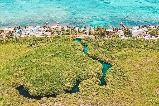Cenote Paddleboarding and Snorkeling in Tulum - What the $125 price really covers