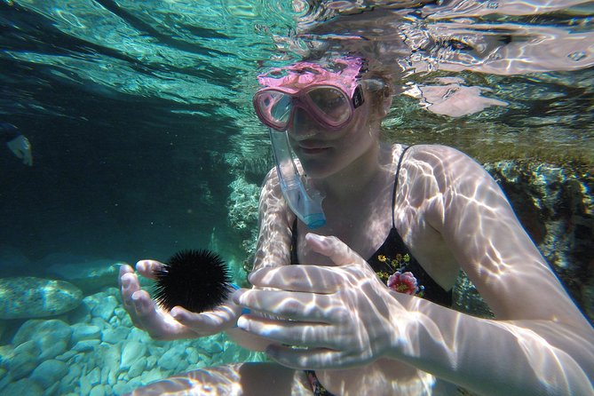 Chania: Boat Trip with Guided Snorkeling Tour & SUP - Boat size and the small-group question