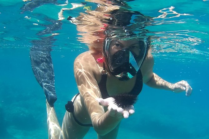 Chania: Boat Trip with Guided Snorkeling Tour & SUP - What the $119.73 price really buys you