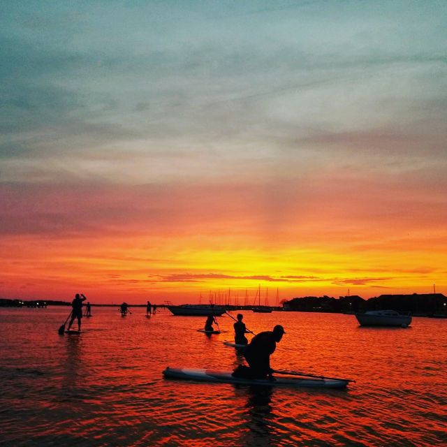 Charleston: Folly Beach Stand Up Paddleboard Dolphin Safari - Starting at Center Street in Folly Beach