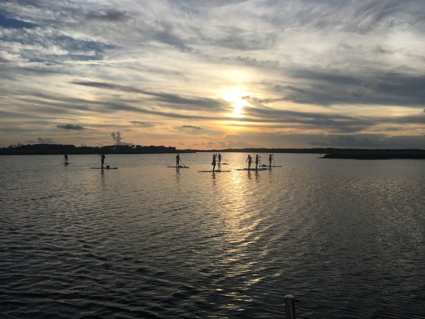 Charleston: Folly Beach Stand Up Paddleboard Dolphin Safari - The practical side of the water
