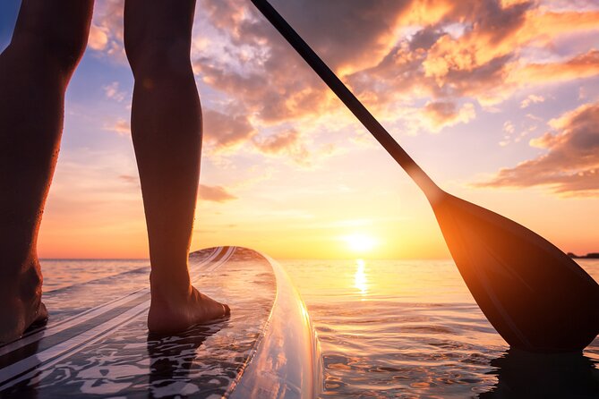 Charleston/Folly Beach Stand up Paddleboard Tour - Key points to know before you book