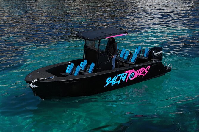 Charter Tour of Palma Bay: Snorkeling and Paddle Surfing - What the guides add to the trip