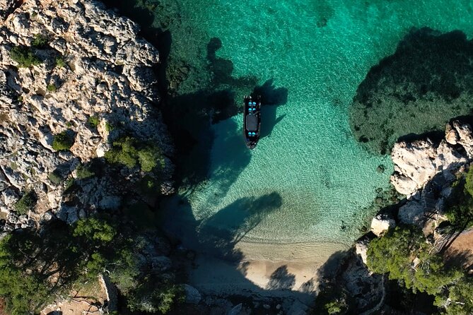 Charter Tour of Palma Bay: Snorkeling and Paddle Surfing - Is $78.02 a fair price?