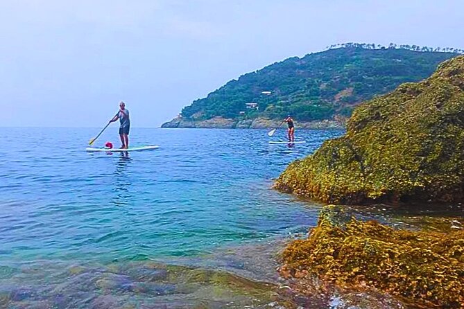 Cinque Terre by Sup - Swimming and snorkeling near Cinque Terre