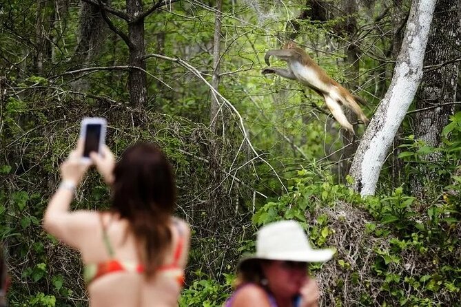 Clear Kayak or Paddleboard Manatee Adventure - Paddling the Fort King trail at Silver Springs