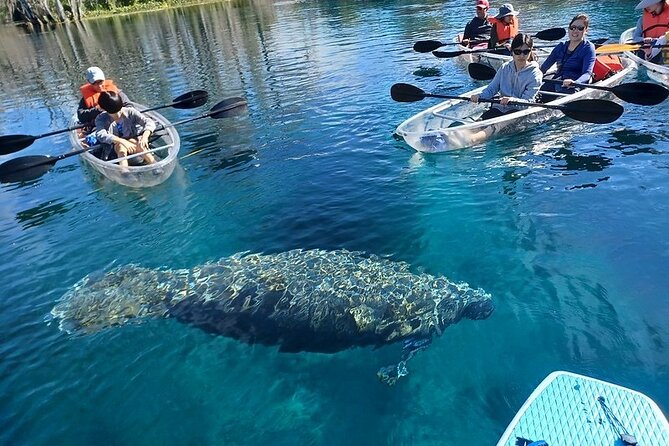 Clear Kayak or Paddleboard Manatee Adventure - What to wear and pack for Silver Springs