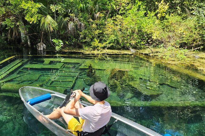 Clear Kayak or Paddleboard Manatee Adventure - Meeting at the park requires careful planning