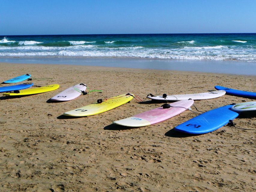 Cocoa Beach: Surfboard Rental - Choosing between a soft top and a performance board