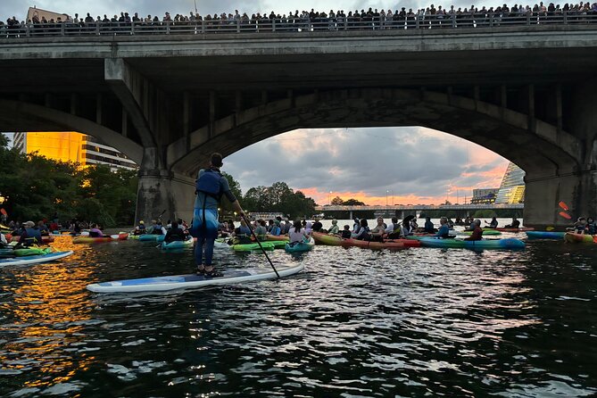 Congress Avenue Bat Bridge Paddleboard Tour - Why the Congress Avenue bats make this Austin outing special
