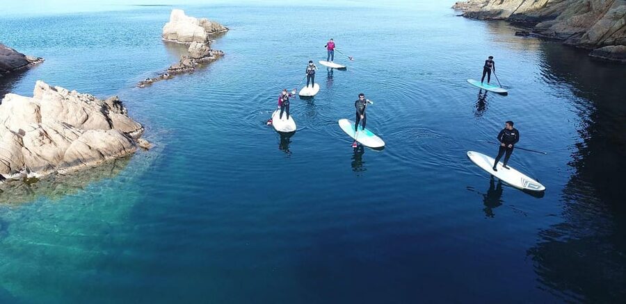 Costa Brava: Stand-Up Paddleboarding Lesson and Tour - A practical plan for the day
