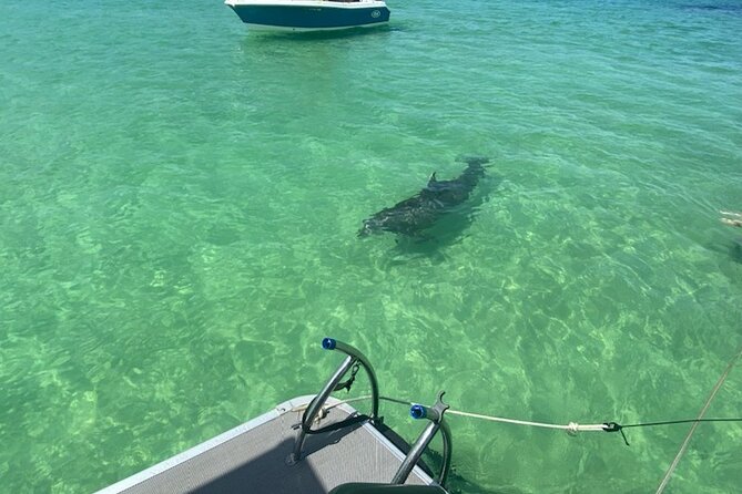 Crab Island Party. Lily Pad, Paddleboard, Speaker and Cooler - A private boat day built around Crab Island