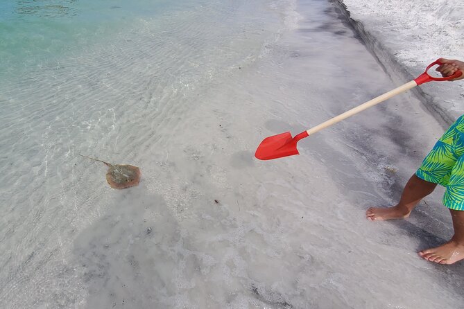 Crab Island Party. Lily Pad, Paddleboard, Speaker and Cooler - The captain fee needs clear attention