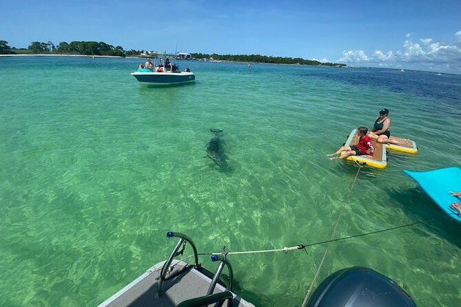 Crab Island Party. Lily Pad, Paddleboard, Speaker and Cooler - Leaving from Fort Walton Beach