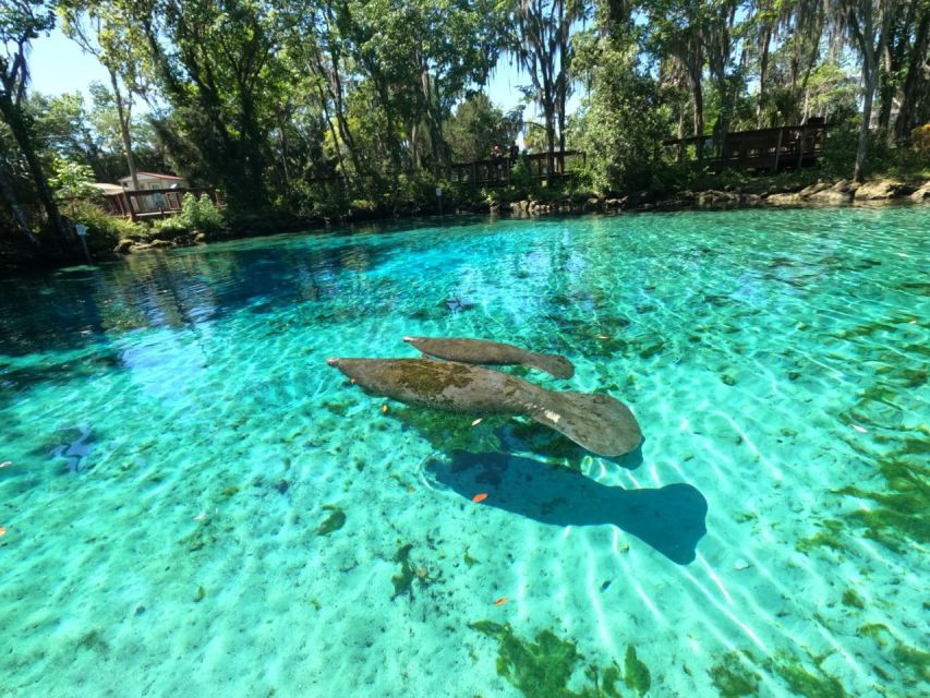 Crystal River: Paddle Board Rental - How much time should you book?